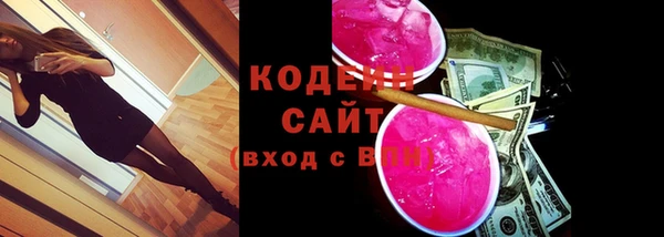 крисы Каменка