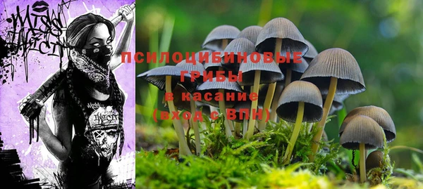 крисы Каменка