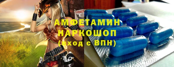 крисы Каменка