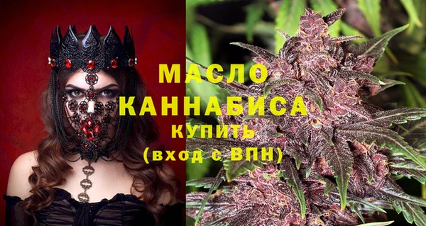 тгк Каменногорск