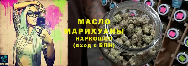 крисы Каменка