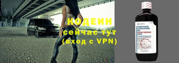 крисы Каменка