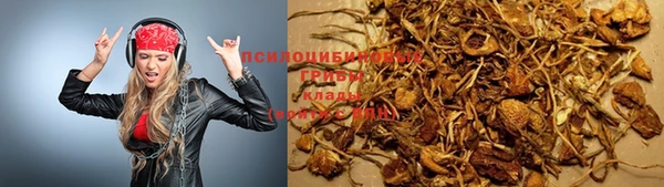 первитин Инсар