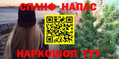 прущие крисы Гай