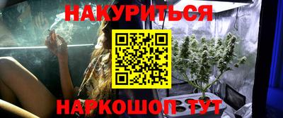прущие крисы Гай
